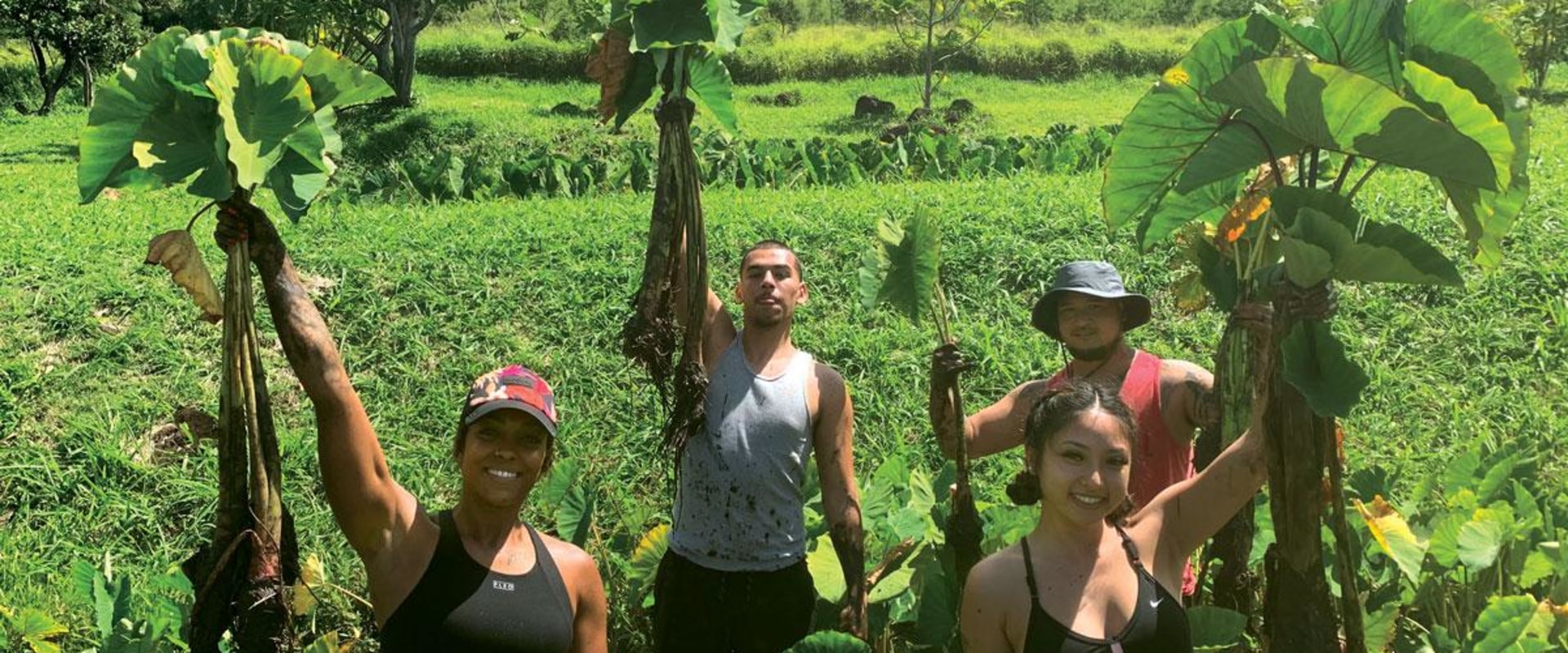 The Role of Traditional Knowledge and Practices in Hawaii's Food System