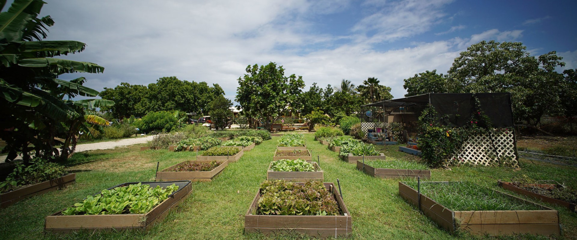 Promoting Sustainable Practices in Hawaii's Food System