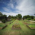The Diverse and Sustainable Hawaii Food System