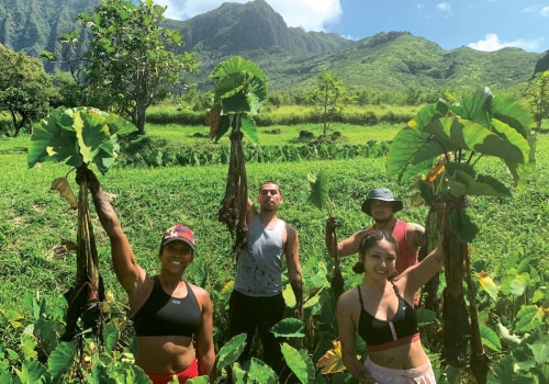 The Role of Traditional Knowledge and Practices in Hawaii's Food System